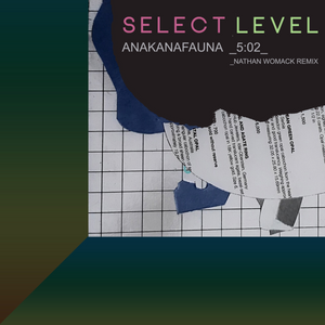 Select Level - Anakanafauna (Nathan Womack Remix). Download [BIG BEAT / BREAKS]