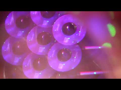 Gel-Sol - Nightshade 7" [LIBRARY / INSTRUMENTAL] Wax Thématique #13
