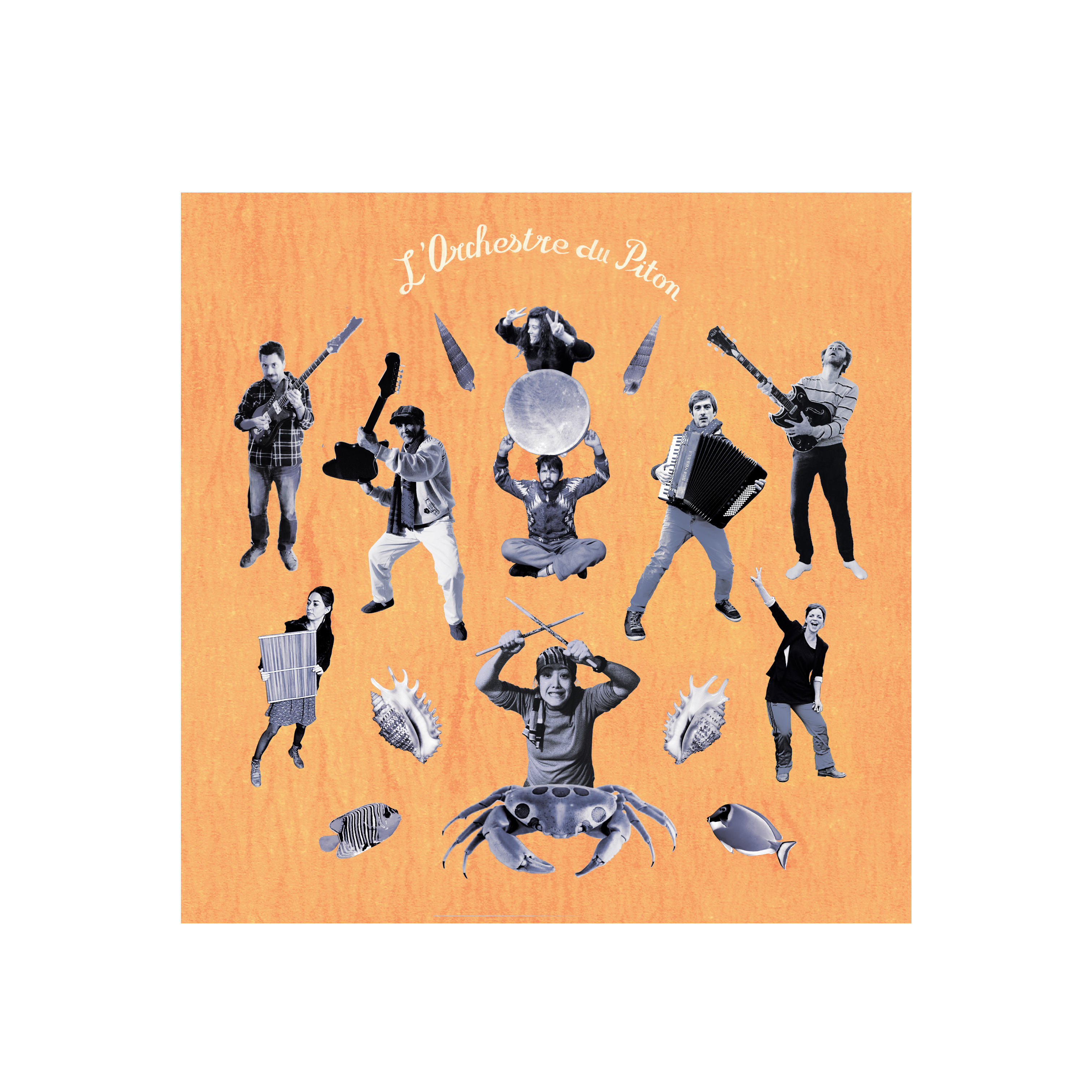 Les Pythons De La Fournaise - L ‘Orchestre du Piton. Limited Edition LP [MALOYA / SÉGA] Wax Thématique #8